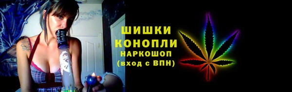 индика Алзамай
