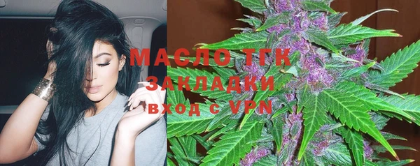 индика Алзамай