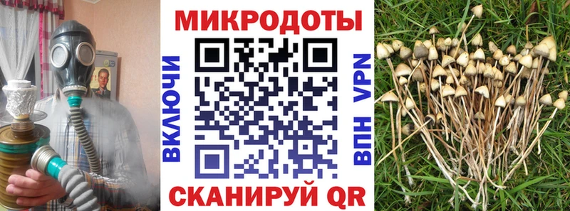 Галлюциногенные грибы Cubensis  Бавлы 